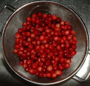 gewassen Cranberry's